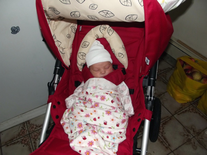 DSCF0367-home-stroller.jpg