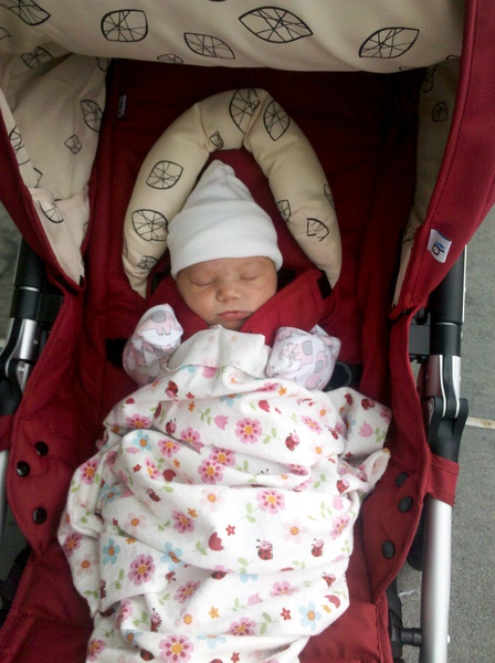 IMG_20111004_112132-in-stroller.jpg