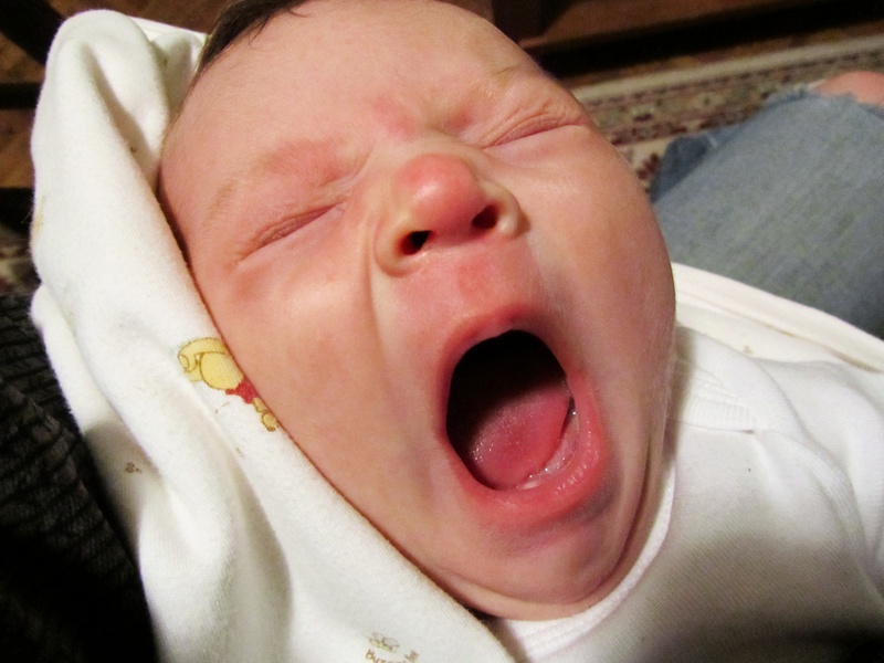 IMG_1168-yawn.jpg