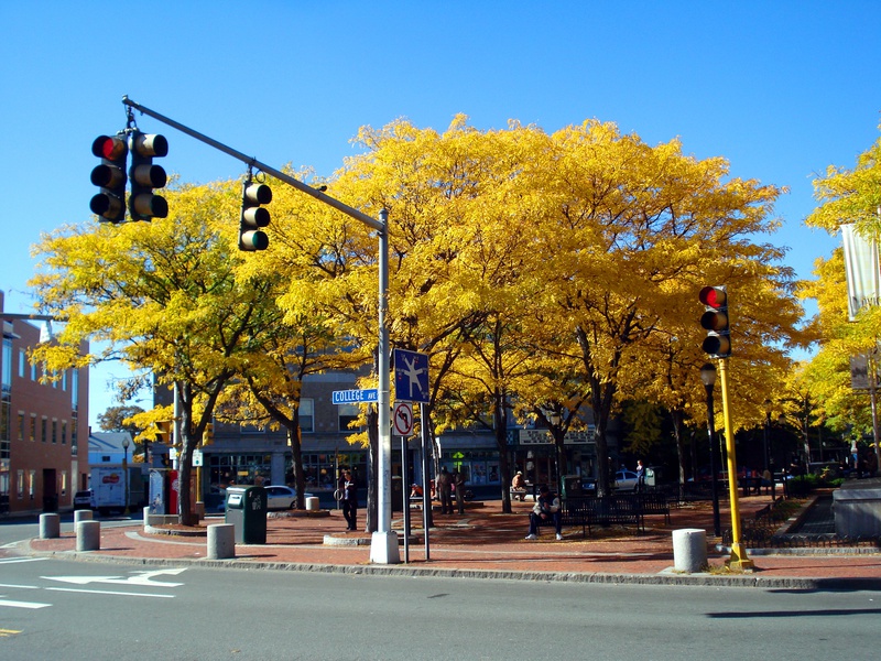 Davis-Square.jpg