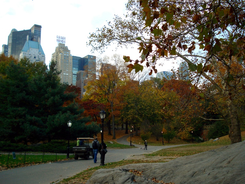 Central-Park.jpg